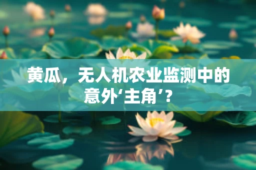 黄瓜，无人机农业监测中的意外‘主角’？