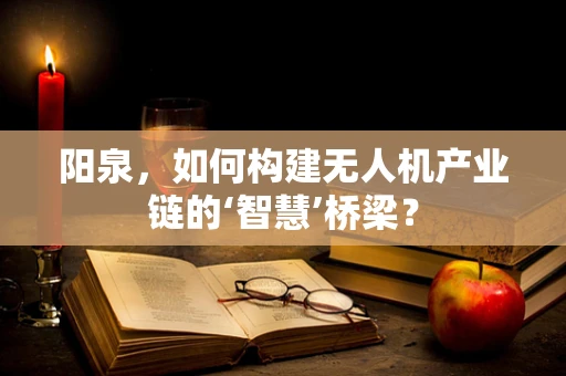 阳泉，如何构建无人机产业链的‘智慧’桥梁？