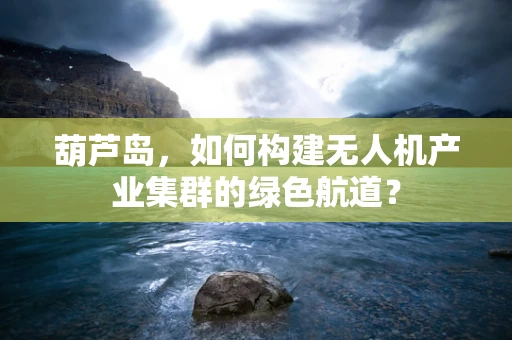 葫芦岛，如何构建无人机产业集群的绿色航道？