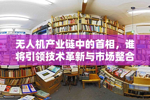 无人机产业链中的首相，谁将引领技术革新与市场整合？