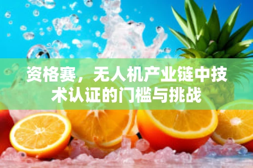 资格赛，无人机产业链中技术认证的门槛与挑战