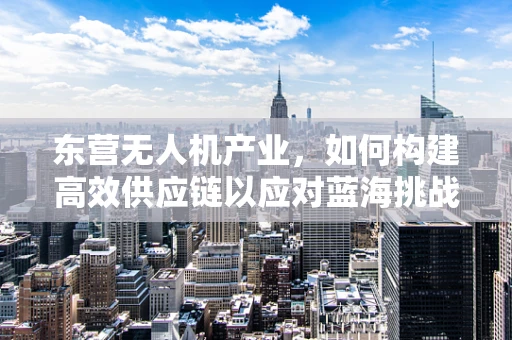 东营无人机产业，如何构建高效供应链以应对蓝海挑战？