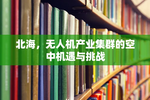 北海，无人机产业集群的空中机遇与挑战