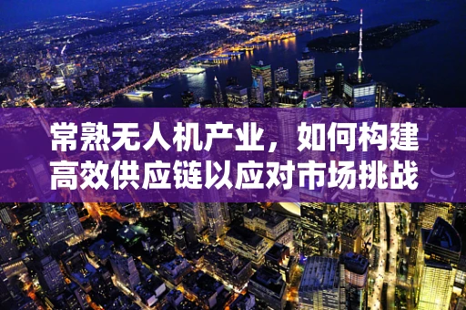 常熟无人机产业，如何构建高效供应链以应对市场挑战？