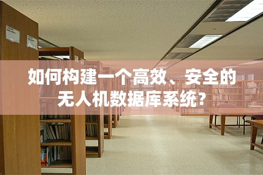 如何构建一个高效、安全的无人机数据库系统？