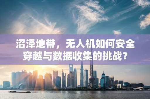 沼泽地带，无人机如何安全穿越与数据收集的挑战？