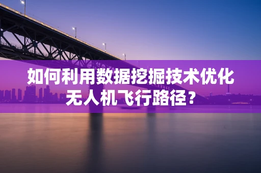 如何利用数据挖掘技术优化无人机飞行路径？