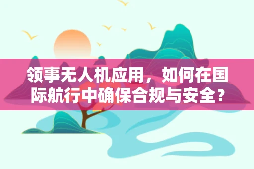 领事无人机应用，如何在国际航行中确保合规与安全？