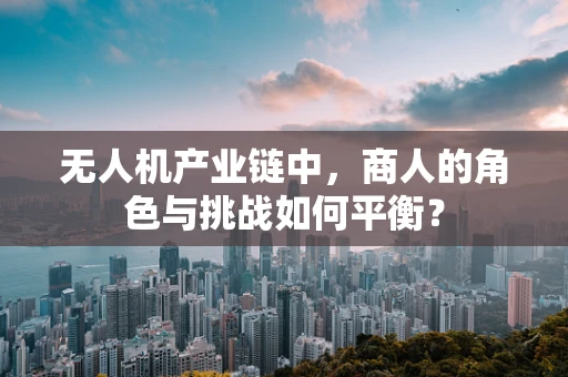 无人机产业链中，商人的角色与挑战如何平衡？