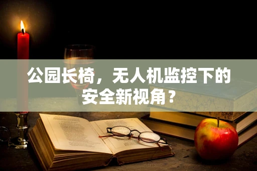 公园长椅，无人机监控下的安全新视角？