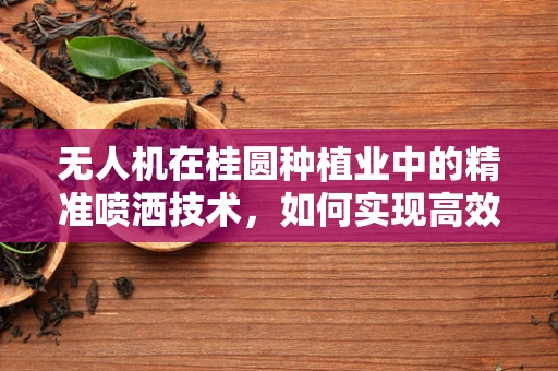 无人机在桂圆种植业中的精准喷洒技术，如何实现高效低耗？