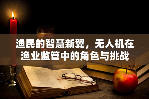 渔民的智慧新翼，无人机在渔业监管中的角色与挑战