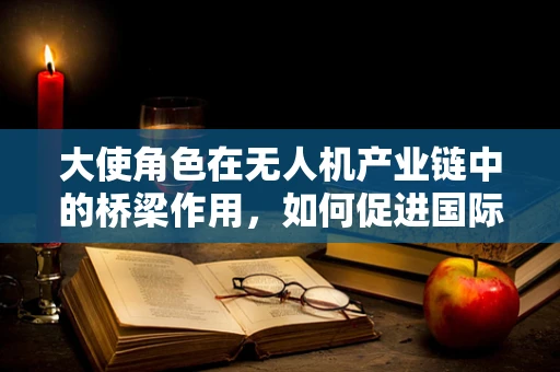 大使角色在无人机产业链中的桥梁作用，如何促进国际合作与技术创新？