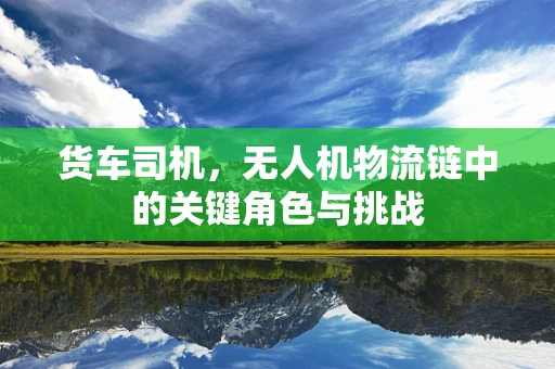 货车司机，无人机物流链中的关键角色与挑战