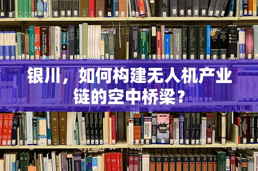 银川，如何构建无人机产业链的空中桥梁？