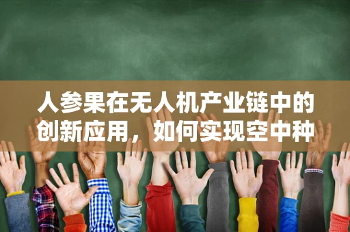 人参果在无人机产业链中的创新应用，如何实现空中种植的梦想？