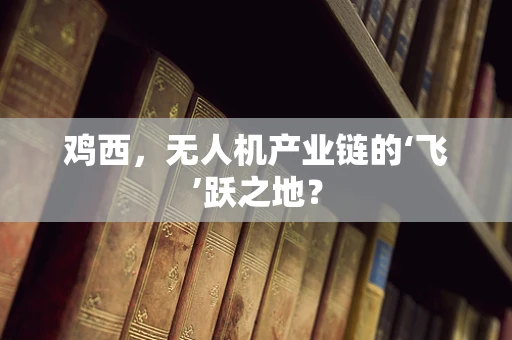 鸡西，无人机产业链的‘飞’跃之地？