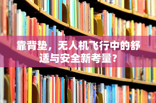 靠背垫，无人机飞行中的舒适与安全新考量？