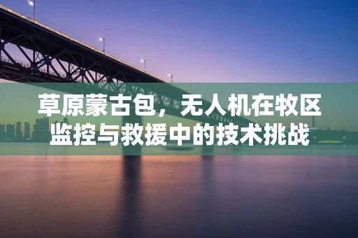 草原蒙古包，无人机在牧区监控与救援中的技术挑战