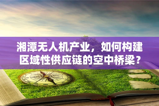 湘潭无人机产业，如何构建区域性供应链的空中桥梁？