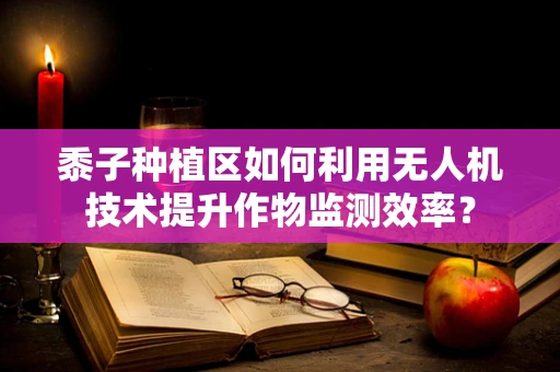 黍子种植区如何利用无人机技术提升作物监测效率？