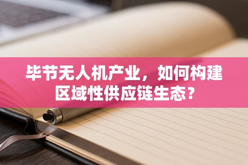 毕节无人机产业，如何构建区域性供应链生态？