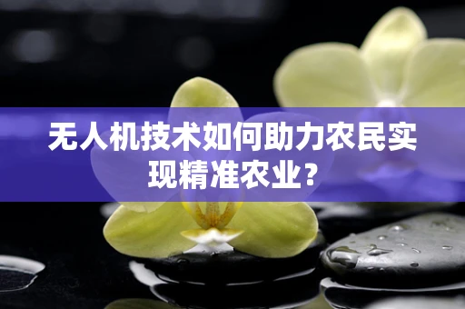 无人机技术如何助力农民实现精准农业？