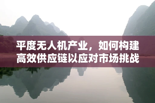 平度无人机产业，如何构建高效供应链以应对市场挑战？