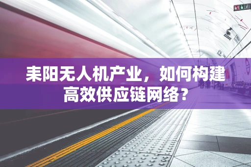 耒阳无人机产业，如何构建高效供应链网络？