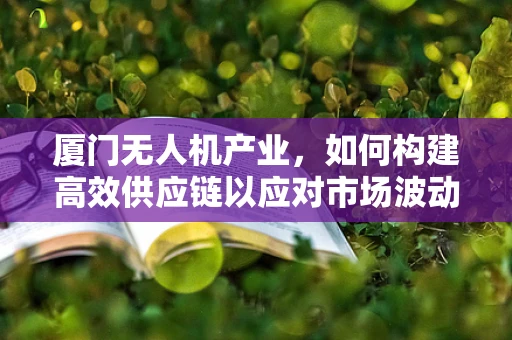 厦门无人机产业，如何构建高效供应链以应对市场波动？