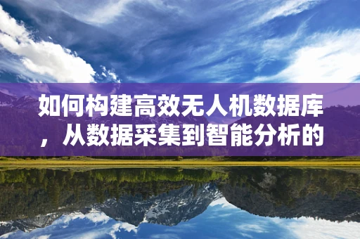 如何构建高效无人机数据库，从数据采集到智能分析的挑战与策略