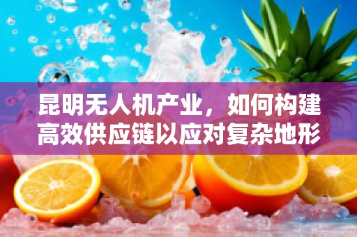 昆明无人机产业，如何构建高效供应链以应对复杂地形挑战？