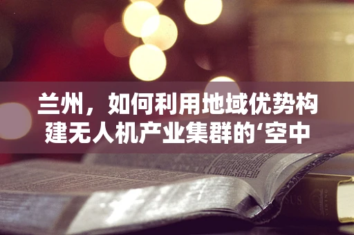 兰州，如何利用地域优势构建无人机产业集群的‘空中引擎’？