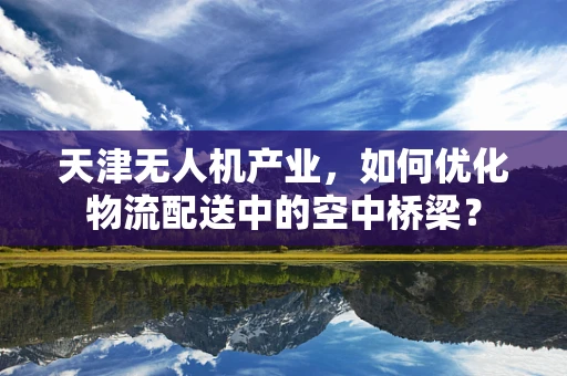 天津无人机产业，如何优化物流配送中的空中桥梁？