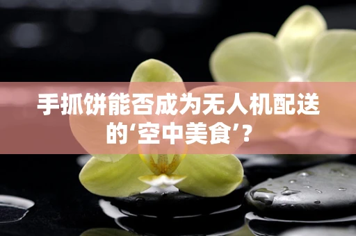 手抓饼能否成为无人机配送的‘空中美食’？