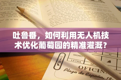 吐鲁番，如何利用无人机技术优化葡萄园的精准灌溉？