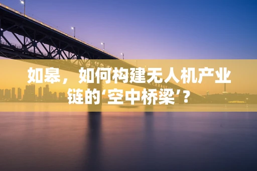 如皋，如何构建无人机产业链的‘空中桥梁’？