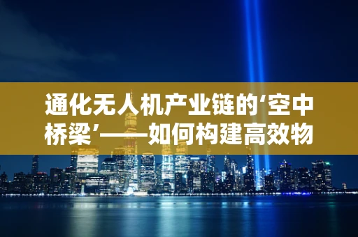 通化无人机产业链的‘空中桥梁’——如何构建高效物流配送网络？