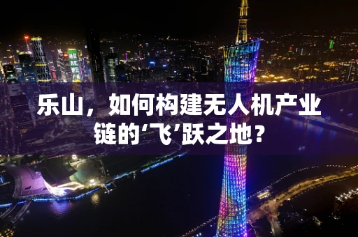 乐山，如何构建无人机产业链的‘飞’跃之地？