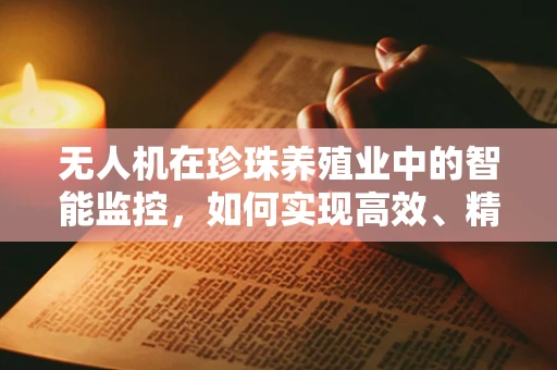 无人机在珍珠养殖业中的智能监控，如何实现高效、精准的监控？