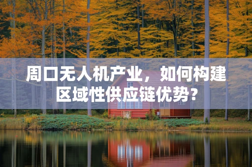 周口无人机产业，如何构建区域性供应链优势？