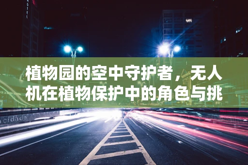 植物园的空中守护者，无人机在植物保护中的角色与挑战？