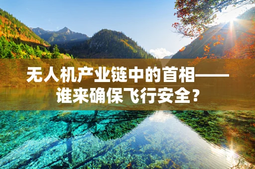 无人机产业链中的首相——谁来确保飞行安全？