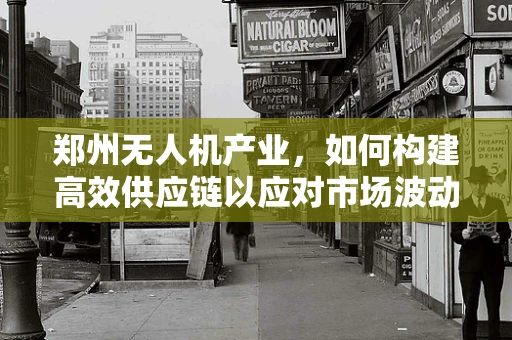 郑州无人机产业，如何构建高效供应链以应对市场波动？