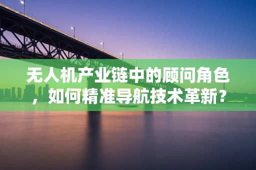 无人机产业链中的顾问角色，如何精准导航技术革新？