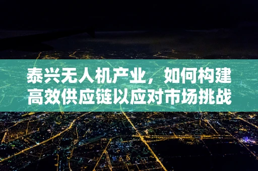 泰兴无人机产业，如何构建高效供应链以应对市场挑战？