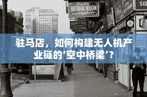 驻马店，如何构建无人机产业链的‘空中桥梁’？