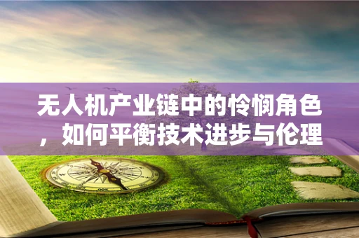 无人机产业链中的怜悯角色，如何平衡技术进步与伦理考量？