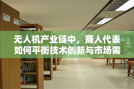 无人机产业链中，商人代表如何平衡技术创新与市场需求？