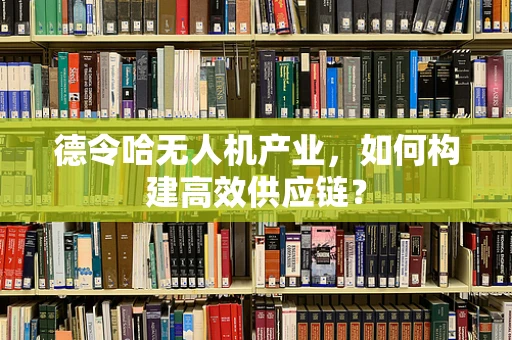 德令哈无人机产业，如何构建高效供应链？